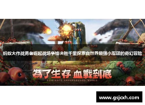 蚂蚁大作战勇者崛起战场争锋决胜千里探索自然界最强小军团的奇幻冒险