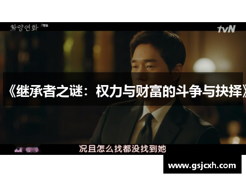 《继承者之谜：权力与财富的斗争与抉择》